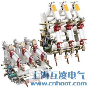 FZN21-12DR/T125-31.5負(fù)荷開關(guān)